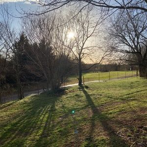 Meet your Posher, Mckinsey